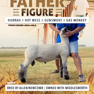 Father Figure - Fresh