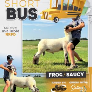 Short Bus - Frozen