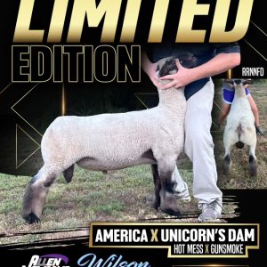 Limited Edition - Fresh