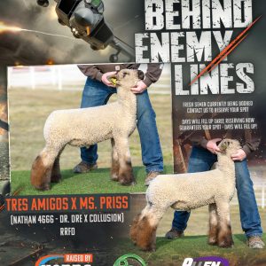 Behind Enemy Lines - Fresh