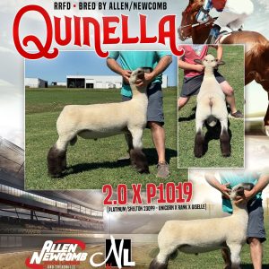 Quinella - Fresh