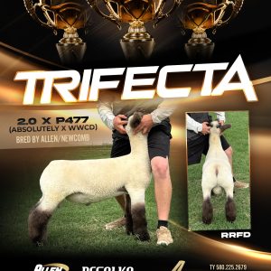 Trifecta - Fresh