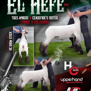 El Hefe - Fresh