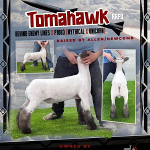 Tomahawk - Fresh